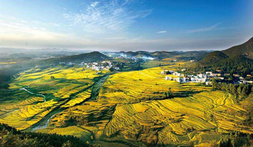 郭家灣梯田。譙夫攝