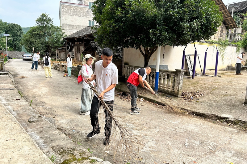駐村第一書記、村黨組書記帶頭開展環境衛生整治。