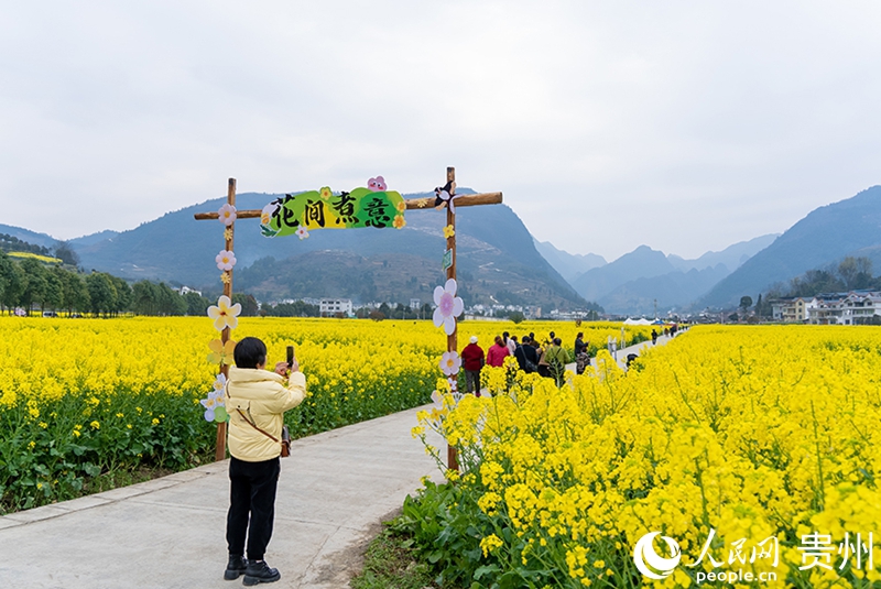 游客在桐梓縣官倉鎮油菜花田中打卡拍照。人民網記者 涂敏攝.jpg