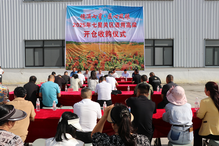 七星關區酒用高粱開倉收購儀式。劉娟攝