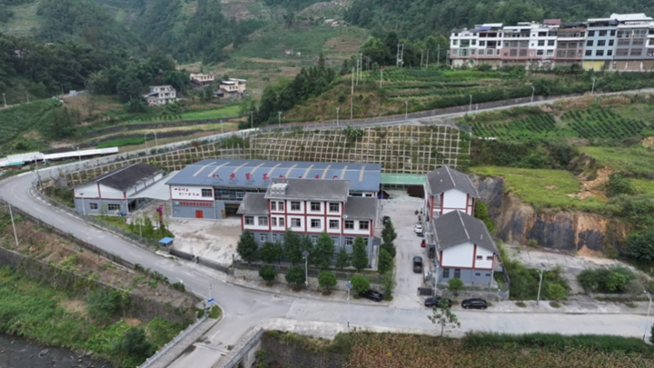 八步紫茶加工總廠。