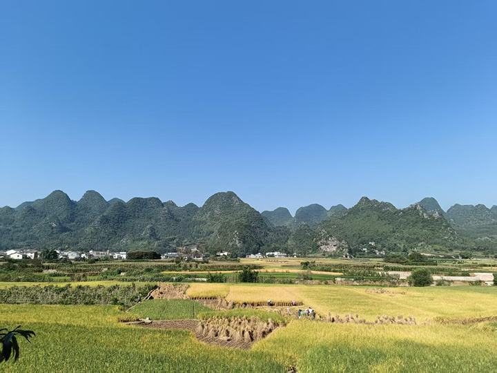 秋染萬峰林。