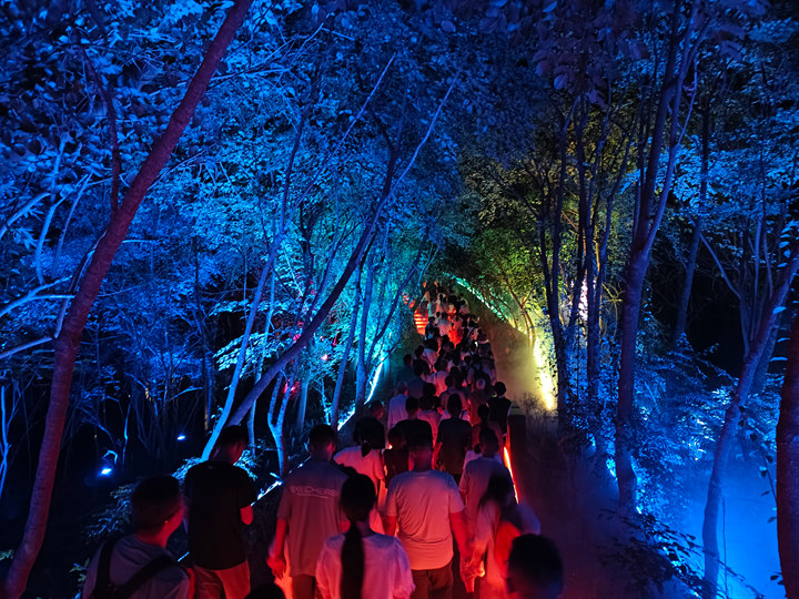 夜游路上游客如潮。