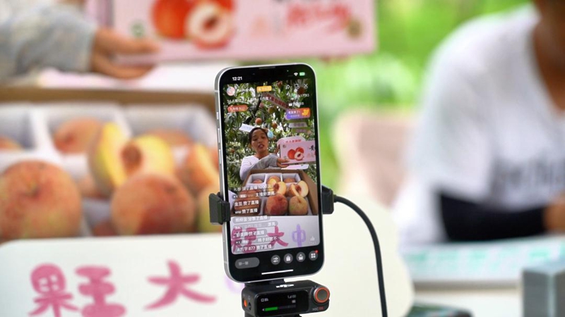 直播團隊在直播間銷售艷紅桃。