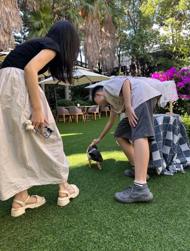 貴陽鉑爾曼大酒店新場景點燃南明秋季文旅市場。