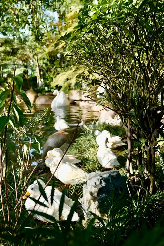 貴陽鉑爾曼大酒店新場景點燃南明秋季文旅市場。