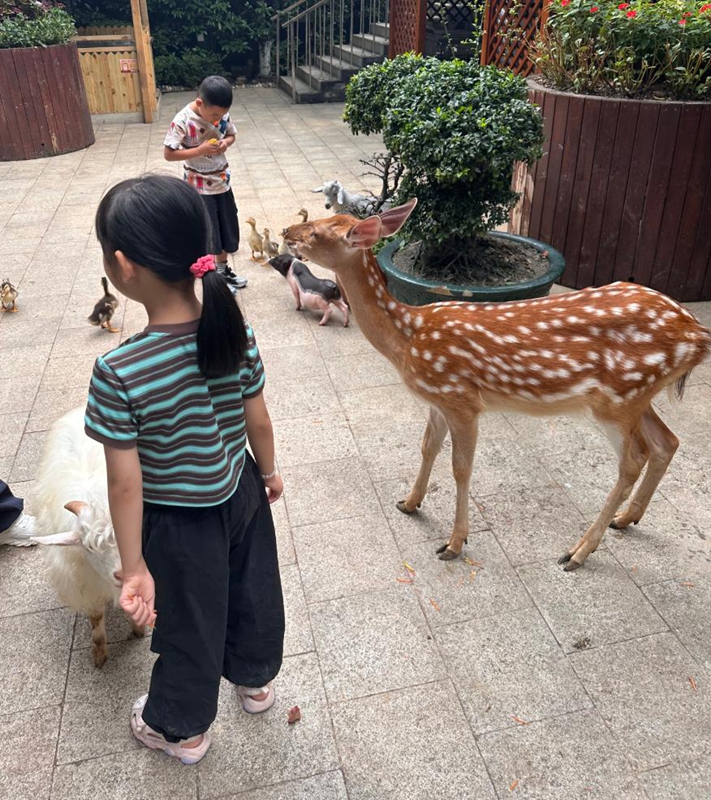 貴陽鉑爾曼大酒店新場景點燃南明秋季文旅市場。