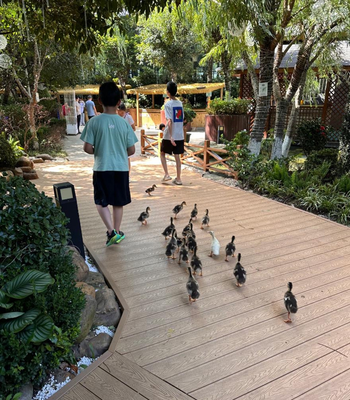 貴陽鉑爾曼大酒店新場景點燃南明秋季文旅市場。