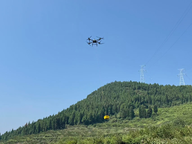 無人機調運果品 (胡曉嫻 攝).jpg