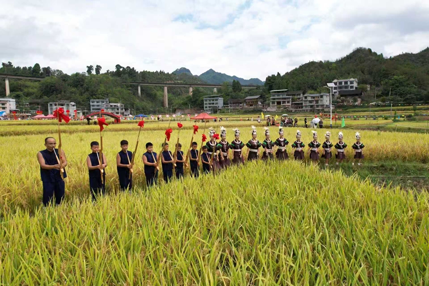2025年9月13日，貴州省凱里市萬潮鎮馬田村，師生們在田間吹奏蘆笙跳蘆笙舞鬧豐收。（無人機照片）周建國攝