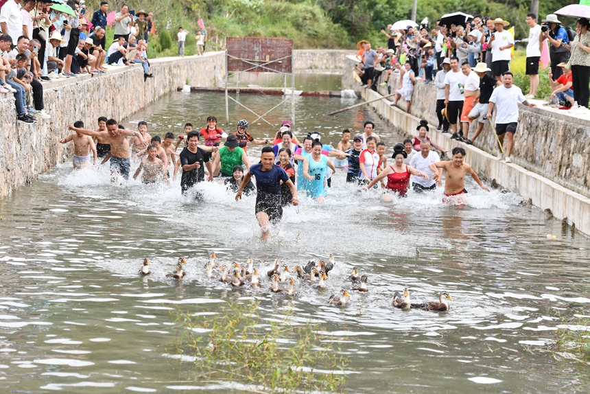 2025年9月13日，貴州省凱里市萬潮鎮馬田村，群眾在水中捉鴨子競賽鬧豐收。楊仁海攝