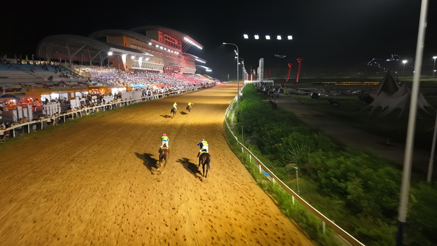 駿馬飛奔 (2).jpg