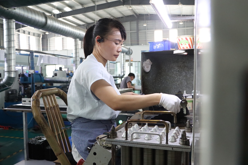 貴州獨山：小軸承“轉”出發展新速度 (4)