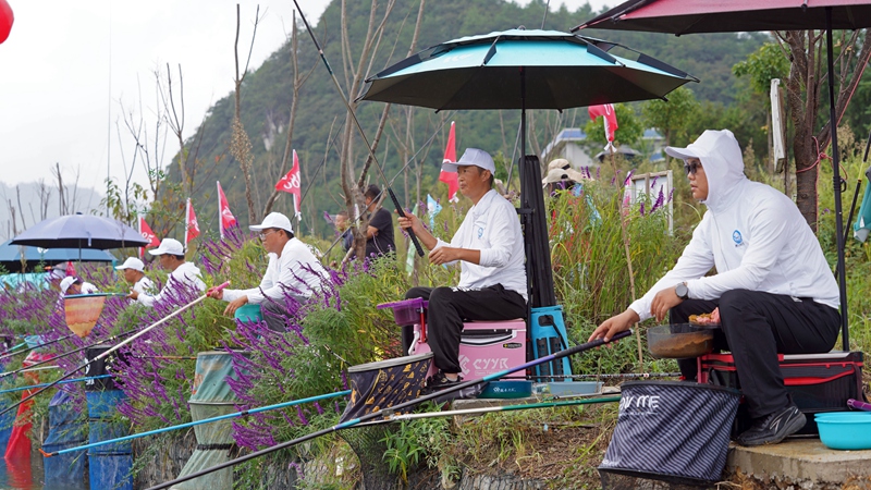 2、垂釣愛好者“村釣”競技。