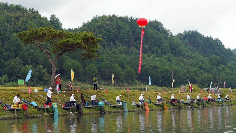 垂釣愛好者“村釣”競技。