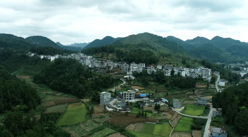 曾家溝村 (1).jpg