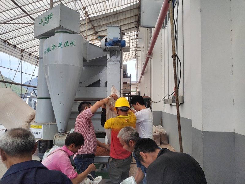 土城鎮黔沿村駐村隊協助村民用設備處理紅粱，保障品質。習水融媒體中心供圖