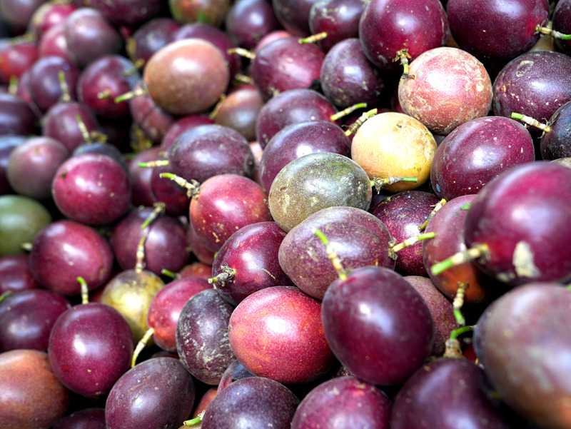 平壩40畝百香果喜迎豐收 特色種植帶動就業與增收。