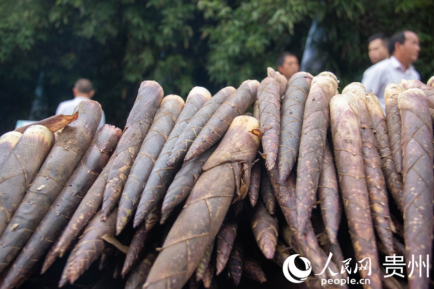 桐梓方竹筍。人民網 黃小桃攝