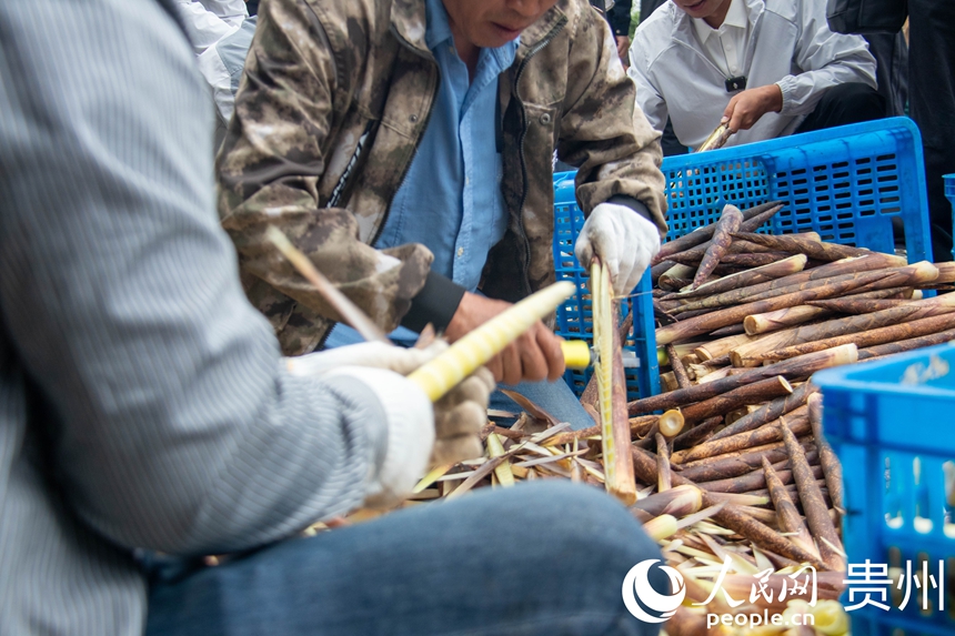 農戶正在剝方竹筍。人民網 黃小桃攝