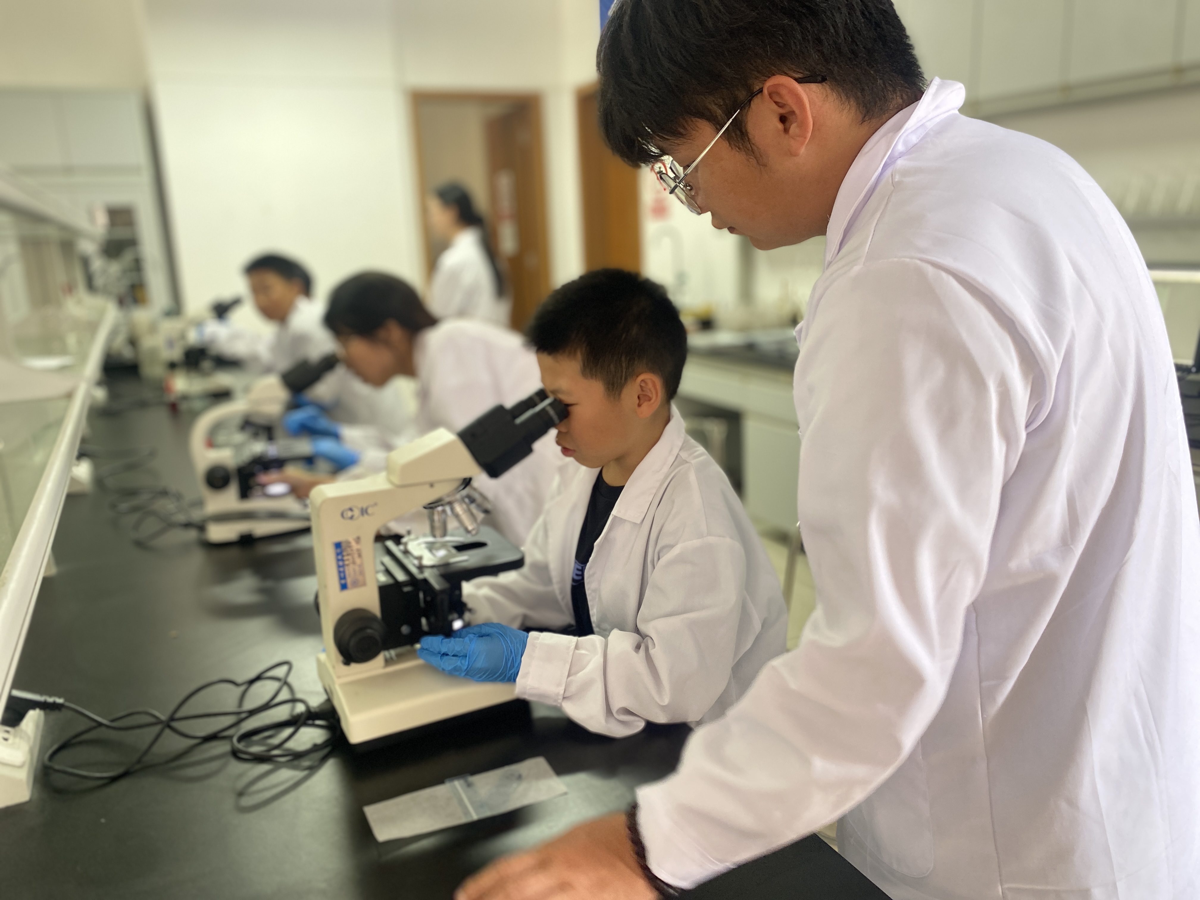 用顯微鏡觀察植物細胞與微生物形態。貴州民族大學供圖