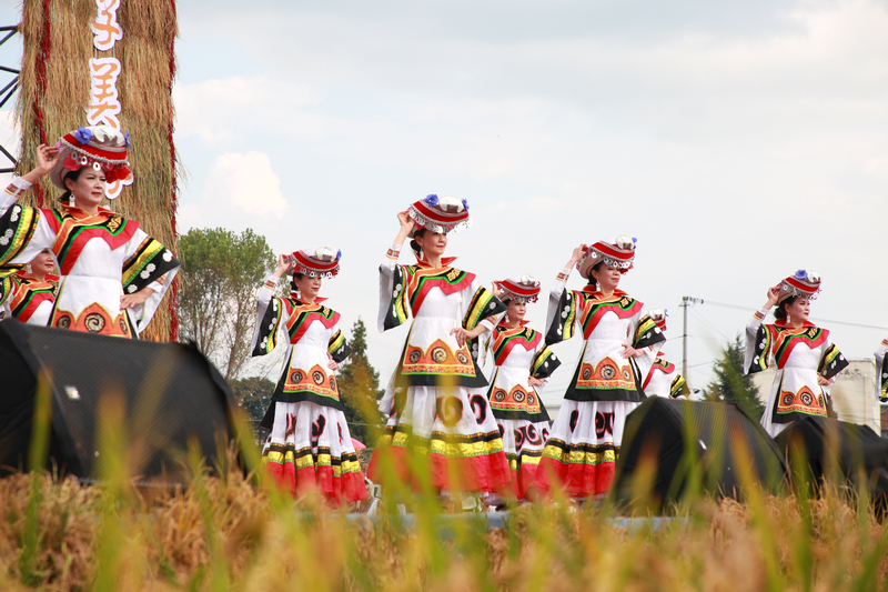 七星關區2025年中國農民豐收節分會場活動現場， 文藝匯演精彩紛呈。