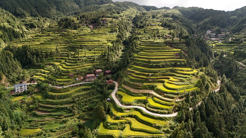 南寨九社梯田。