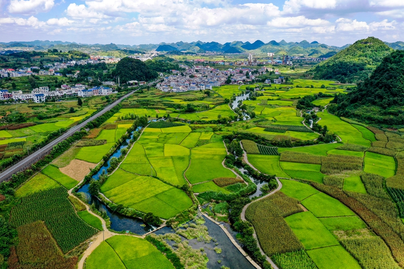 安順市西秀區鮑家屯水利灌溉系統“魚嘴分流”設施及稻田。潘希來 攝.JPG
