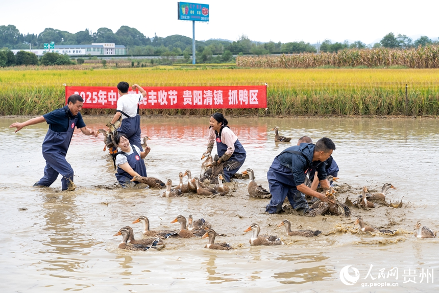 參賽選手在水中追逐鴨子。人民網記者 涂敏攝