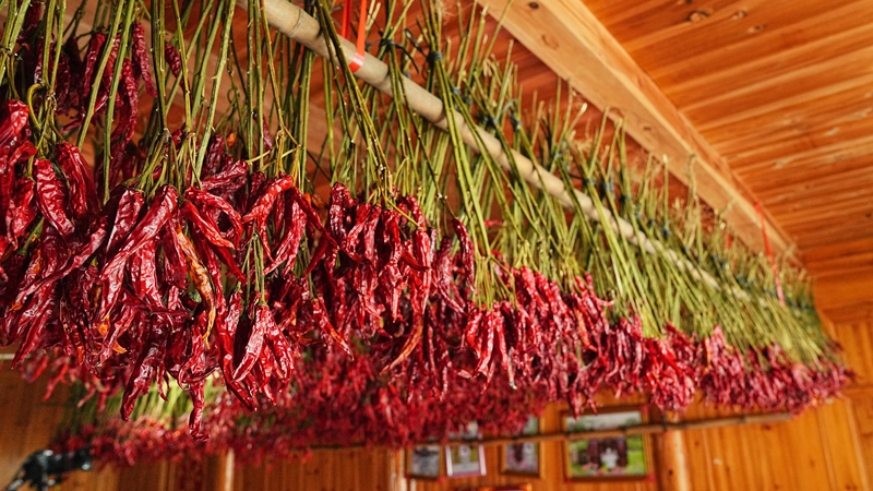 村民家晾曬的辣椒。羅崢銘攝 (2)