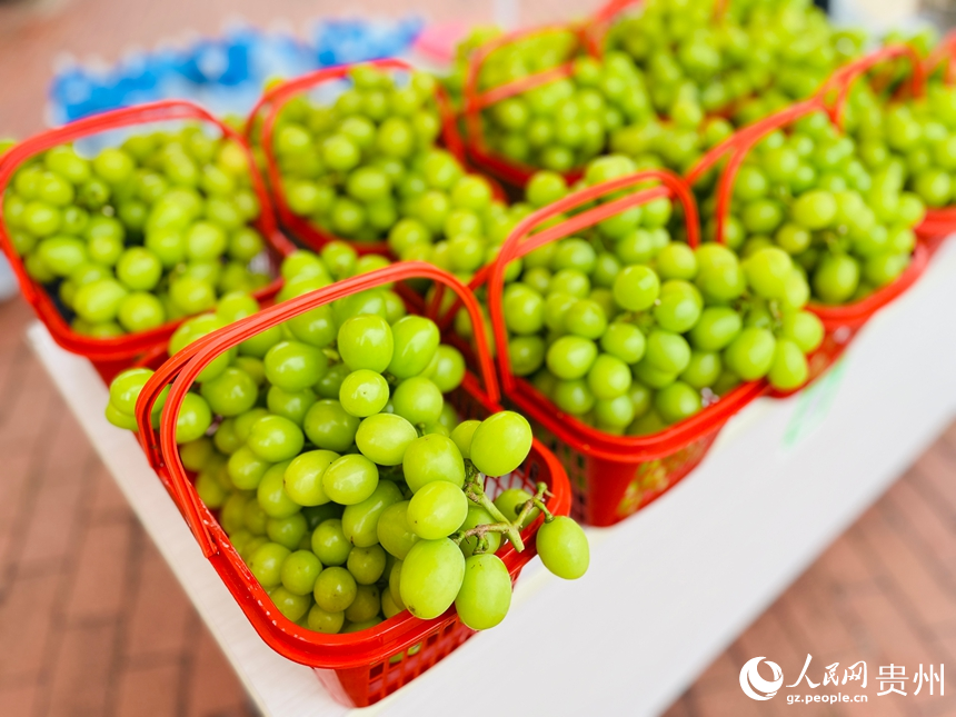 秋收市集。人民網 陳潔泉攝