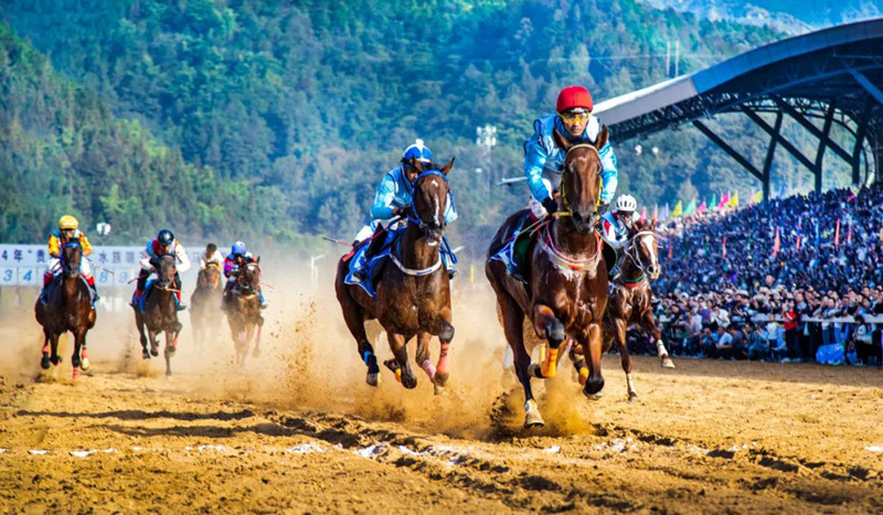 賽馬。