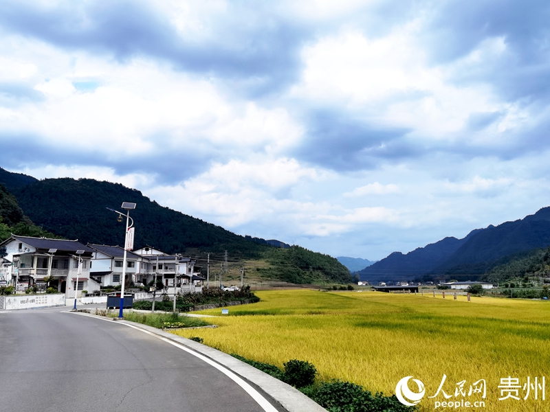 黃魚村一隅。人民網記者 王秀芳攝