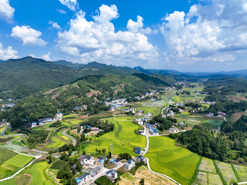 航拍朝陽村。鳳岡縣融媒體中心供圖