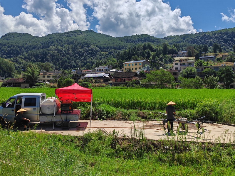 圖為:無人機噴施中微量元素肥料