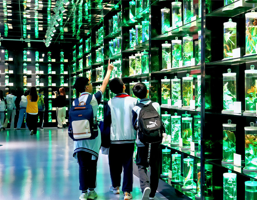 貴陽市第二實驗小學師生走進貴州中醫藥大學開展中醫藥文化進校園活動。貴州中醫藥大學供圖