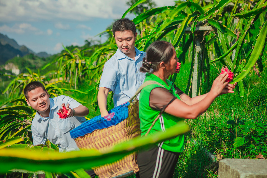 郵儲銀行工作人員走進果園，與果農一起感受豐收的喜悅。郵儲銀行黔南州分行供圖