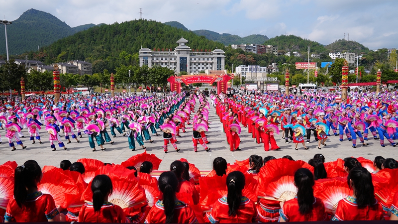 思南千人花燈舞  劉漢濱攝.JPG