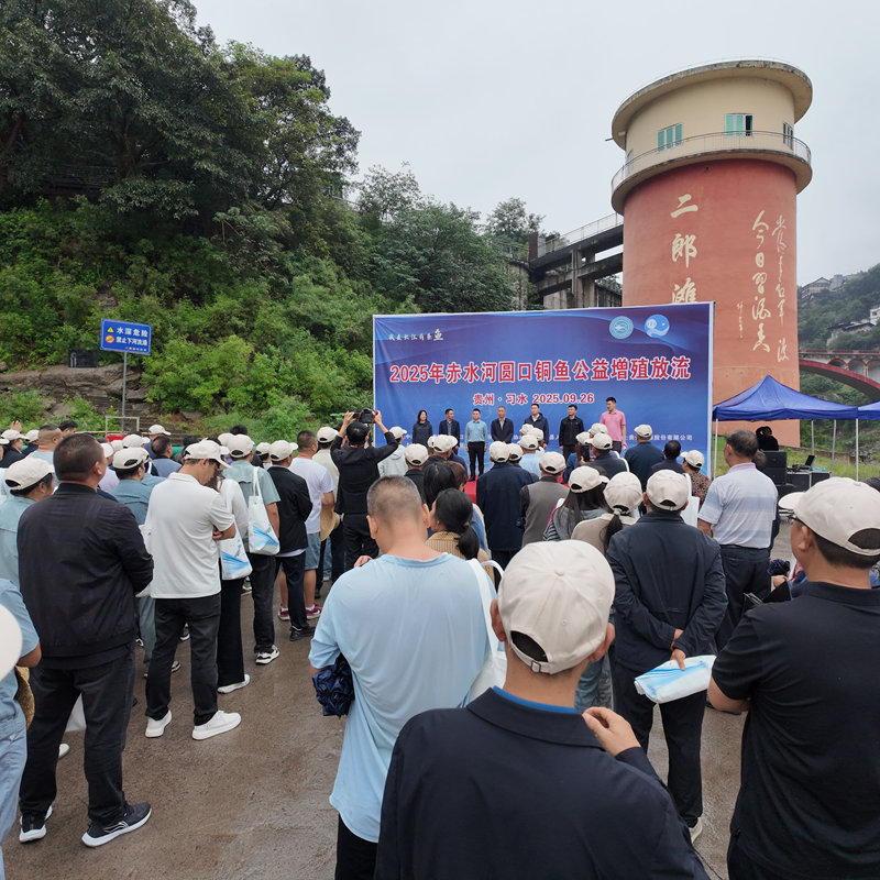 舉行放流儀式現場。稅會靜攝