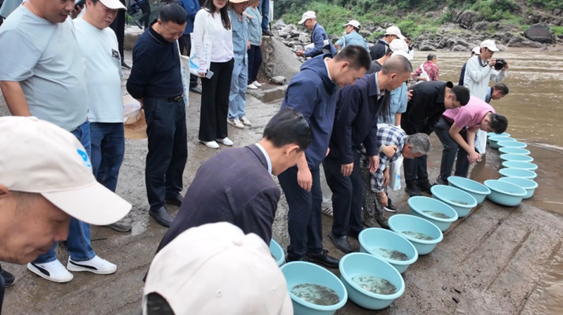 放流現場。稅會靜攝