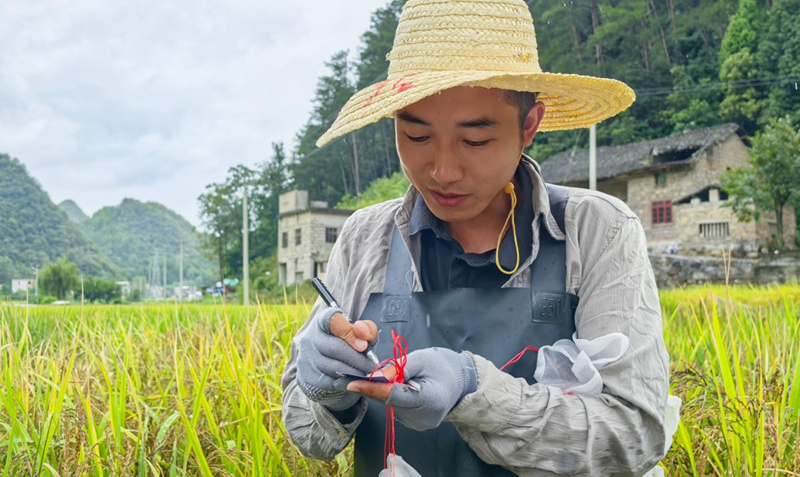 曾濤目光專注。