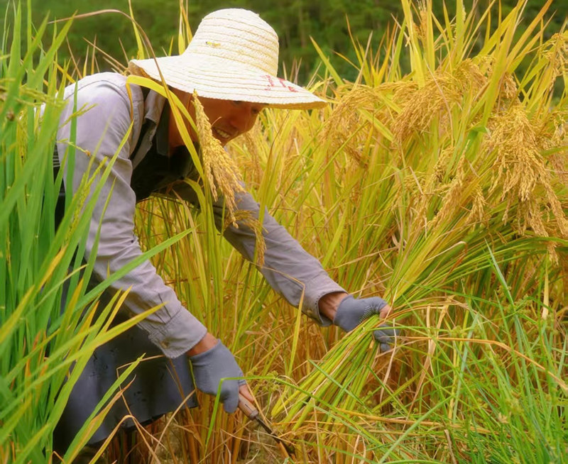 深入田間地頭。