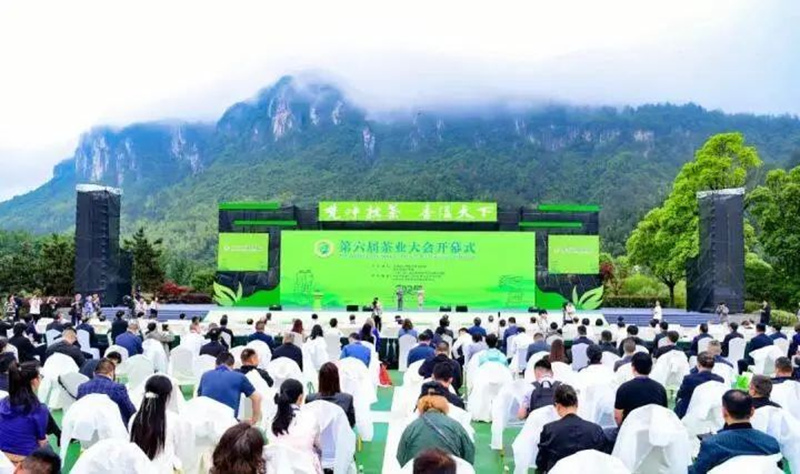 梵山凈水育新機 抹茶飄香興鄉村。