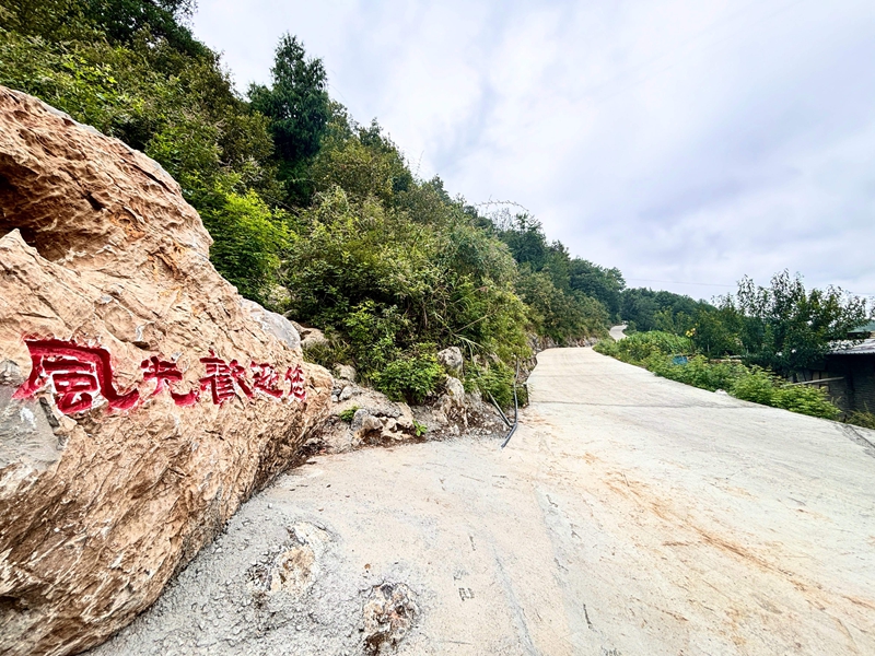 6、慶豐村風光組共同集資改擴建的1.7公里的“風光大道”。王燁 攝.jpg