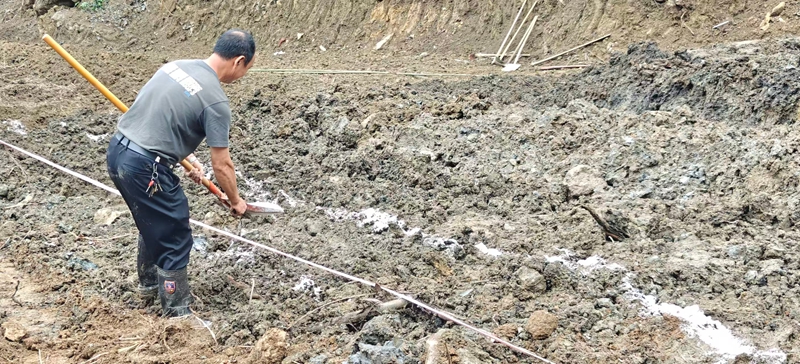 圖為:種植前進行定點 (胡曉嫻 攝)
