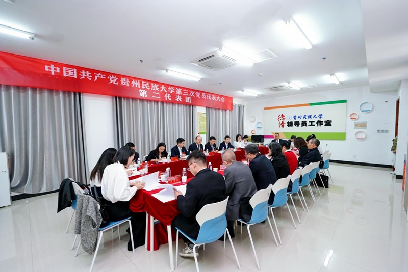 3 第二代表團會議現場.jpg