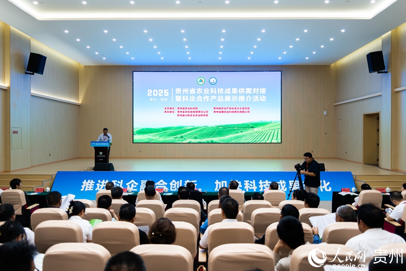 1 活動現場。人民網記者 涂敏 攝.jpg