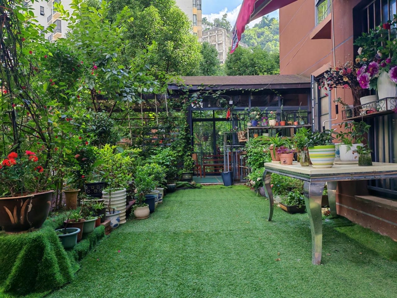 衛生家庭庭院。