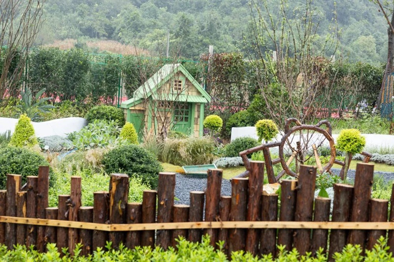 6、卡皮pupu萌寵館。