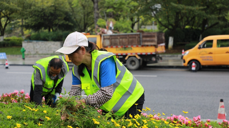 1、管護工人正忙著除草作業。
